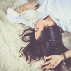 bed cute dog female