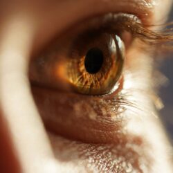 glaucoma myths