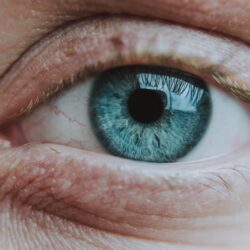Meibomian Gland Disease