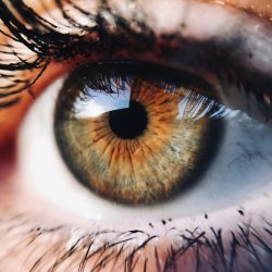 Dr Shibal Bhartiya early consistent glaucoma care monitoring protocol Gurgaon
