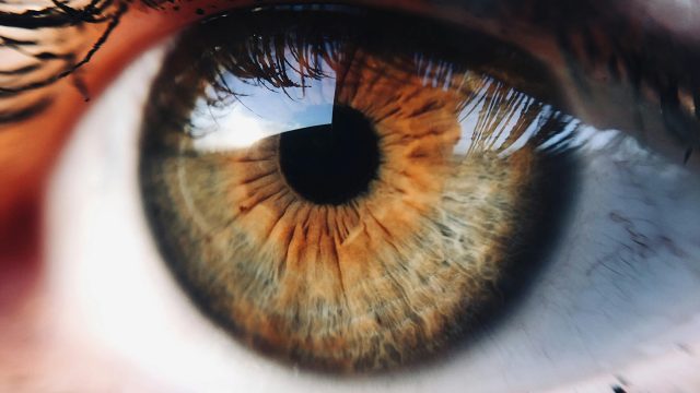 Dr Shibal Bhartiya early consistent glaucoma care monitoring protocol Gurgaon