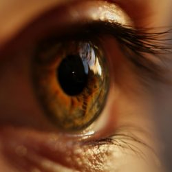 Dr Shibal Bhartiya approach eye care evidence-based patient-centred Gurgaon