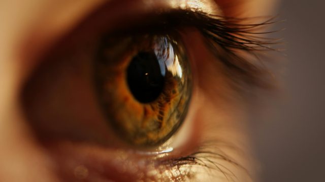 Dr Shibal Bhartiya approach eye care evidence-based patient-centred Gurgaon