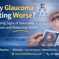 Is my glaucoma getting worse, Dr. Shibal Bhartiya: Expert Glaucoma Specialist & Clinician-Scientist in Gurgaon, Research Collaborator with Mayo Clinic, Jacksonville, USA