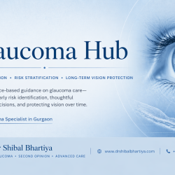 Dr Shibal Bhartiya glaucoma specialist Gurgaon evidence-based care risk stratification nerve imaging