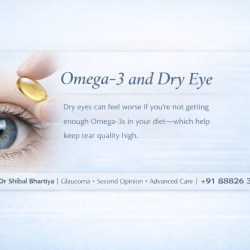 Omega 3, dry eye, Dr Shibal Bhartiya, Glaucoma Specialist, Best Eye Doctor in Gurgaon
